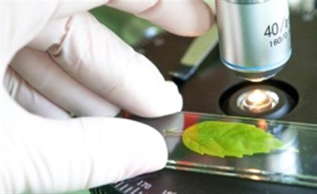 Sáng 28/9/2017: Khai mạc Techmart chuyên ngành “Ứng dụng công nghệ sinh học trong lĩnh vực chế biến dược phẩm, thực phẩm chức năng và xử lý môi trường”